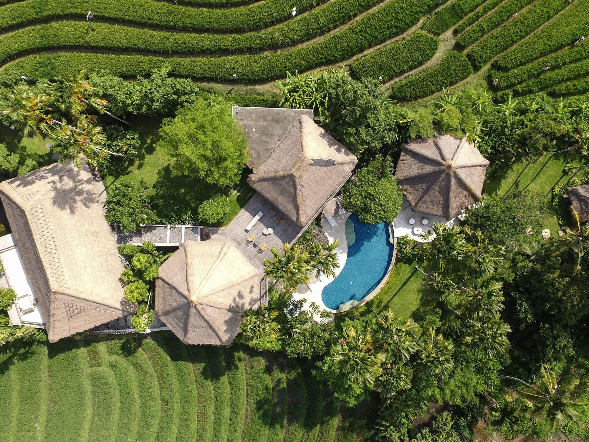 Planta Boutique Resort Canggu Exteriér fotografie